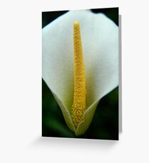 Stamen Greeting Card