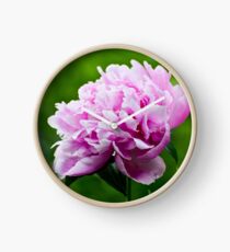 Showy Pink Pedals Clock