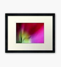 Tulip Sunrise Framed Print