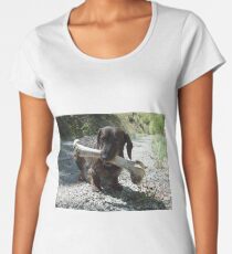 Small dog and a large bone Women's Premium T-Shirt