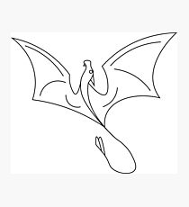 Dragon Flight Photographic Print