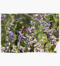 Nature At Work Poster