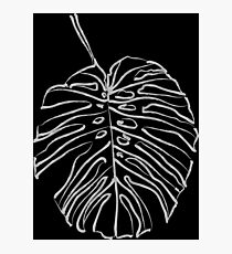 Leafy Lines Photographic Print