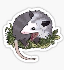 Screaming possum Sticker