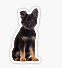 Cute Adorable German Shepherd Puppy Sticker