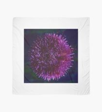 Sea urchin Scarf