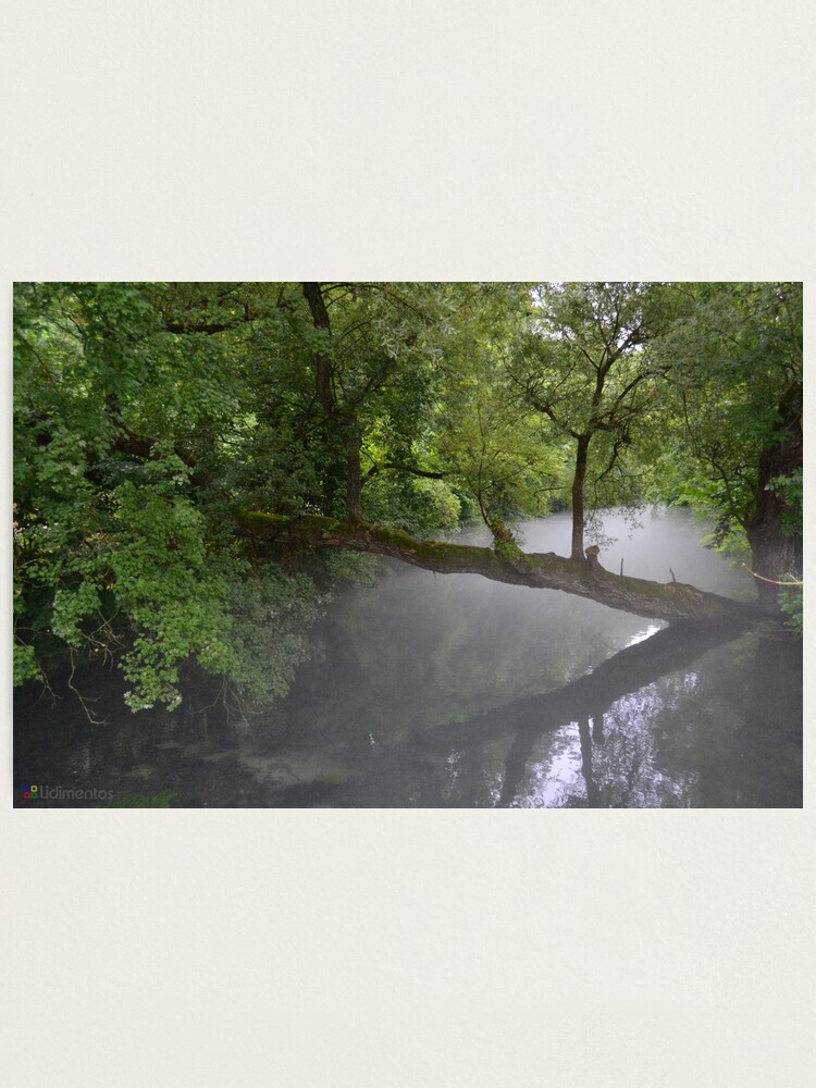 Alternate view of Die Blau Photographic Print