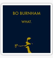 Bo Burnham What Sticker