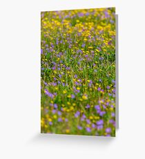 Flowers Flowers Greeting Card