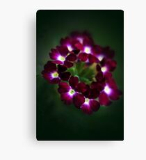Purple verbena Canvas Print