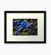 Flower Framed Print