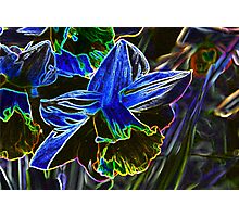 "Flower" Framed Prints by demor44 | Redbubble