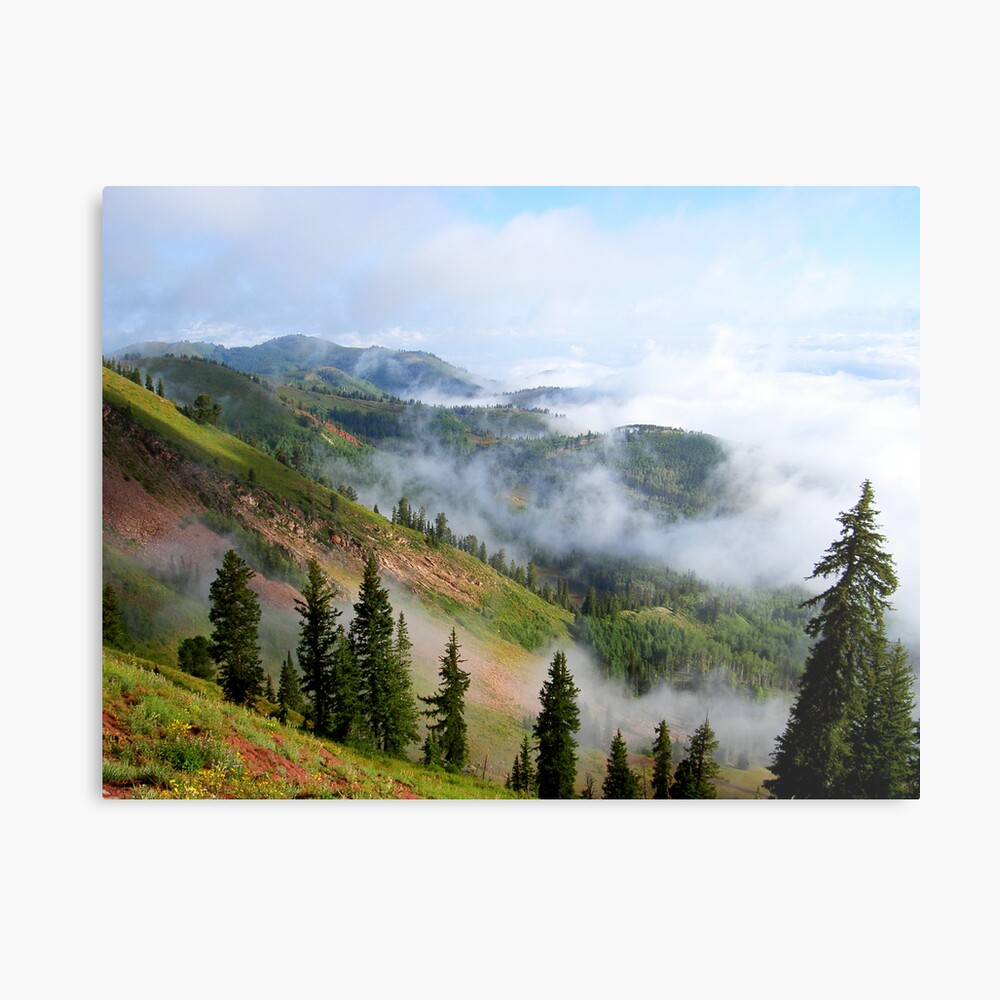 Here comes the day Metal Print