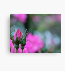 "In your heart, keep one still secret spot where dreams may go and be sheltered so they may thrive and grow." Metal Print