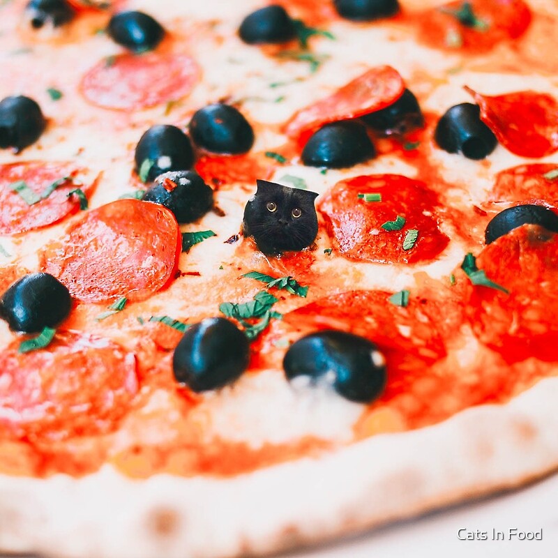 "Pizza Cat" by Cats In Food Redbubble