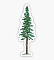 Tree Sticker