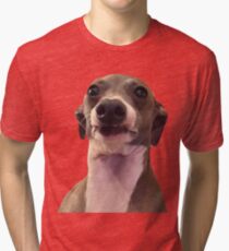 KERMIT Tri-blend T-Shirt
