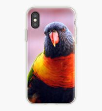 Regenbogen Lorikeet iPhone-Hülle & Cover