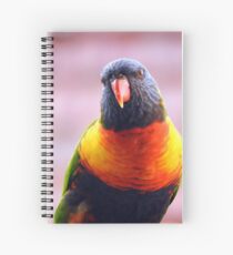Rainbow Lorikeet Spiral Notebook