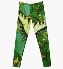 Among The Honeysuckles Leggings