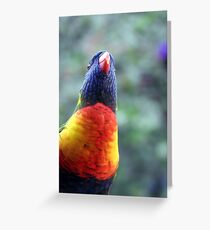 Rainbow Lorikeet Greeting Card