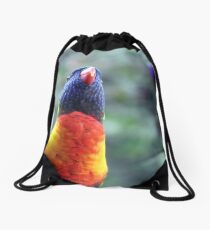 Rainbow Lorikeet Drawstring Bag