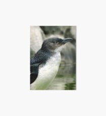 Little Penguin Art Board