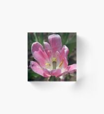 Flower Travelling Japan 2 Acrylic Block