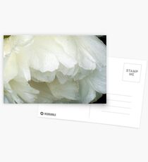 Ballerina! Postcards