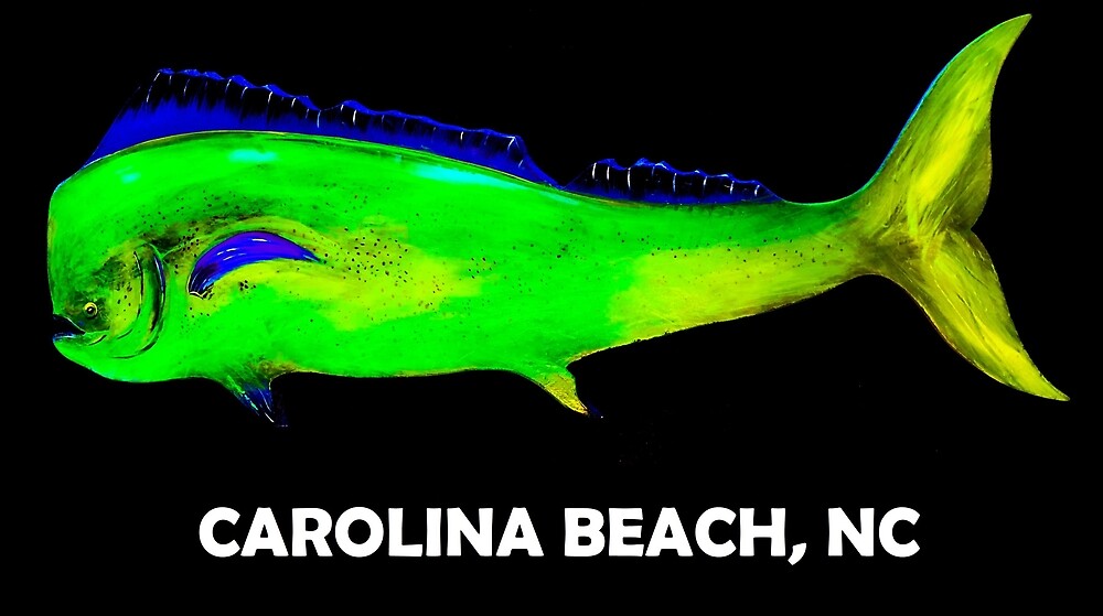 " Mahi Mahi (Carolina Beach, NC)" by barryknauff Redbubble