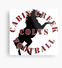 Cabin Creek Colts Football Metal Print