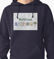 Brilliant Biology Pullover Hoodie