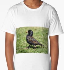 Starling catching insects Long T-Shirt