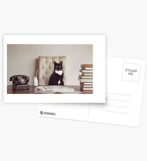 Corporate Cat Postcards