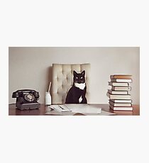Corporate Cat Photographic Print