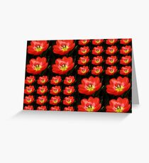 Tulip Field Greeting Card