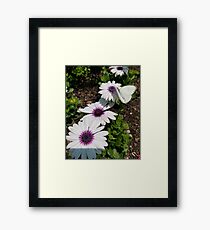 Fuller's Filler-Up park Framed Print