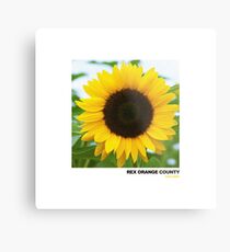 SUNFLOWER-REX ORANGE COUNTY Metal Print