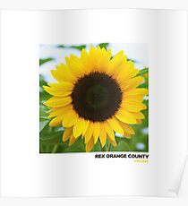 SUNFLOWER-REX ORANGE COUNTY Poster