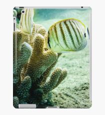Reef fish iPad Case/Skin