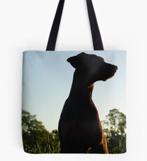 Last walk of the day Tote Bag