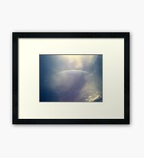 Lens Flare Framed Print