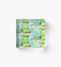 Betta Fish Acrylic Block