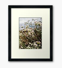 nature Framed Print