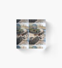 A Boy and Donkeys in Kandovan Iran Acrylic Block