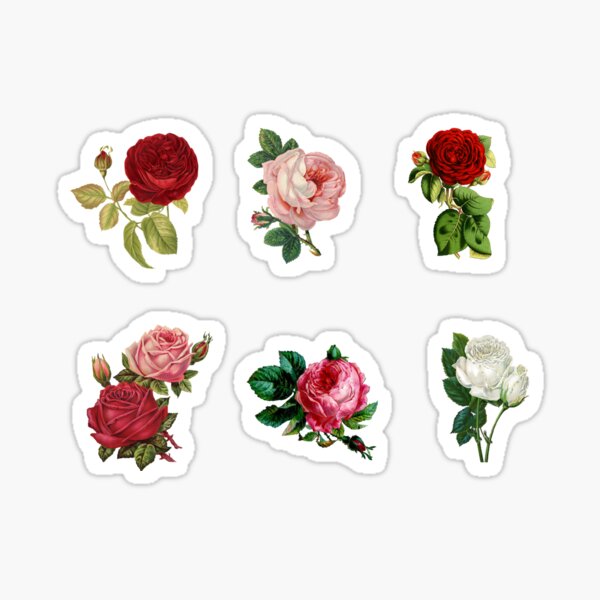 Rose Stickers Redbubble