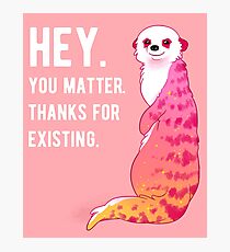 "HEY. You Matter. Thanks for Existing." Sunset Meerkat Photographic Print