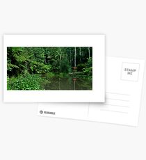 Mt Tamborine Botanic Gardens Postcards