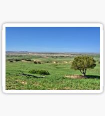 Vastness 2 Sticker