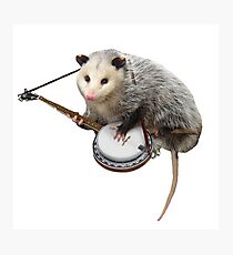 Opossum spielt Banjo Fotodruck